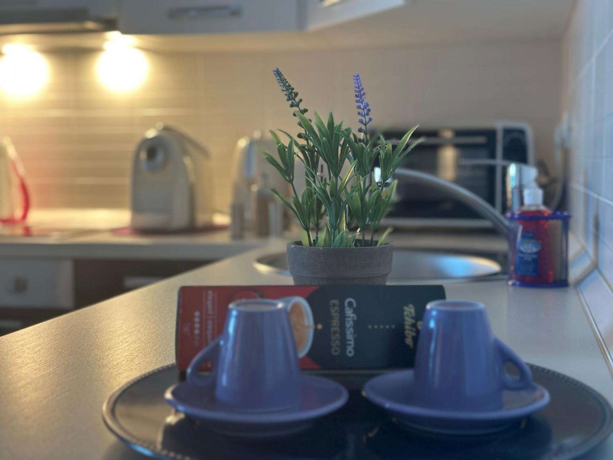 Central Apartment * Timişoara