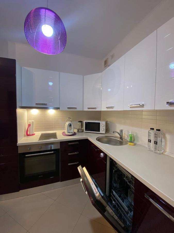 Central Apartment Timişoara
