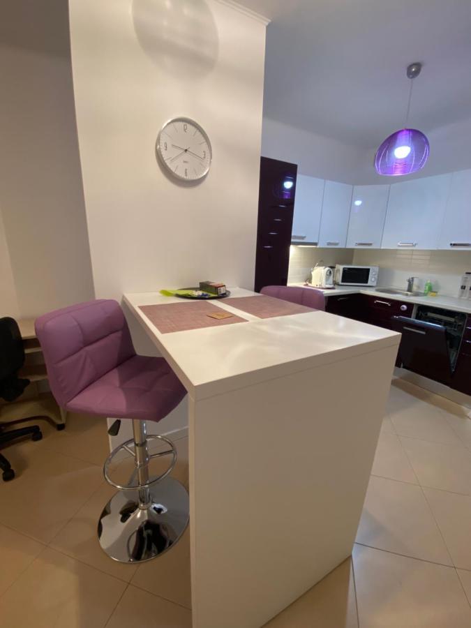 Central Apartment Apartment Timişoara