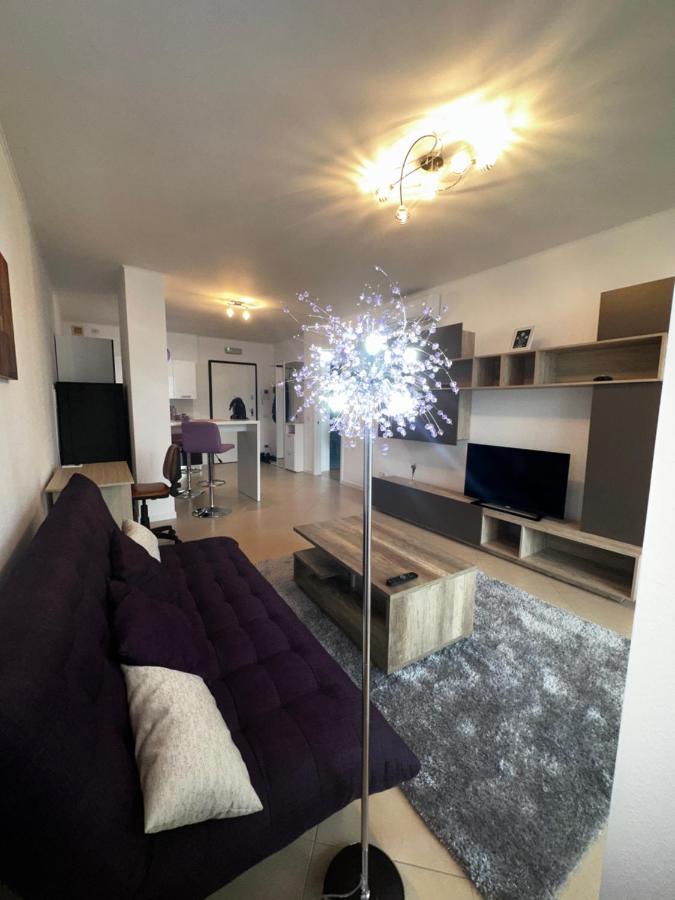Central Apartment Apartment