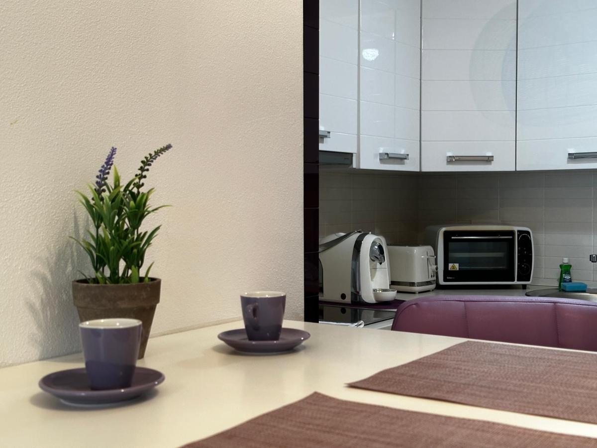 Central Apartment Apartment