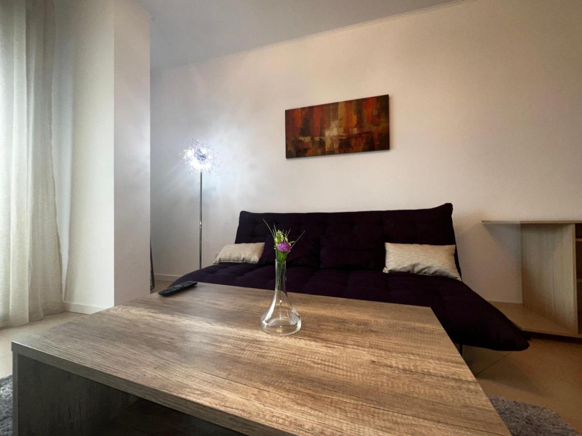 Central Apartment Timişoara