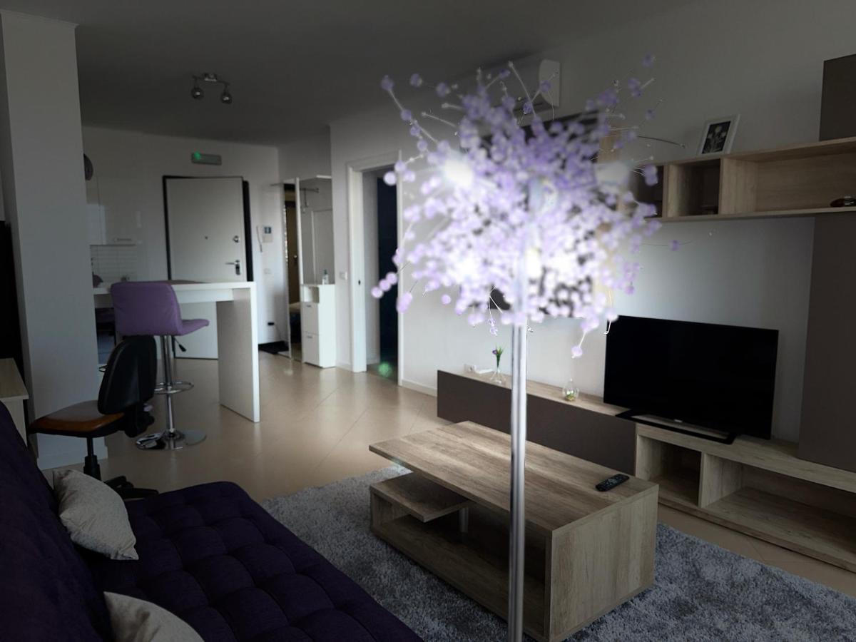 Central Apartment Apartment