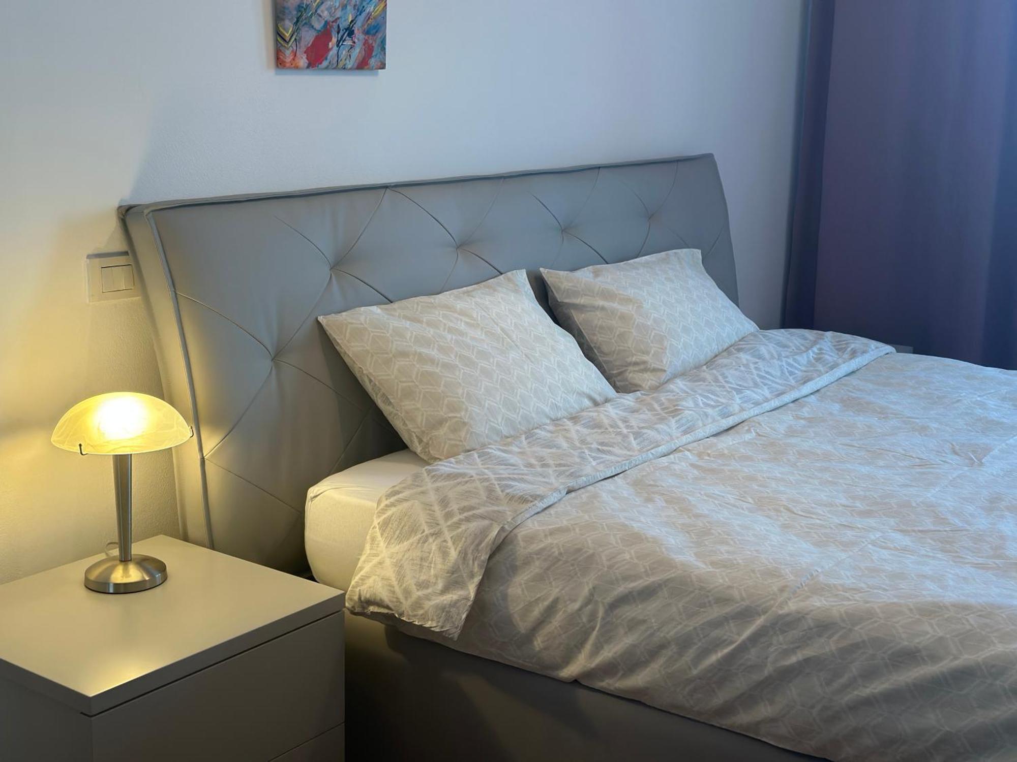 Central Apartment Timişoara